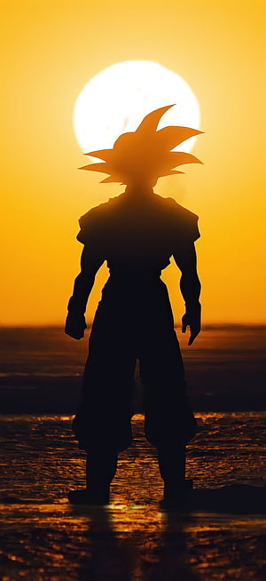 Goku Silhouette Standing on Wet Sand at Sunset with Spiky Hair and Large Sun Behind HD phone wallpaper