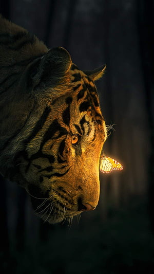 Cinematic Tiger Profile with Glowing Butterfly in Dark Forest HD phone wallpaper