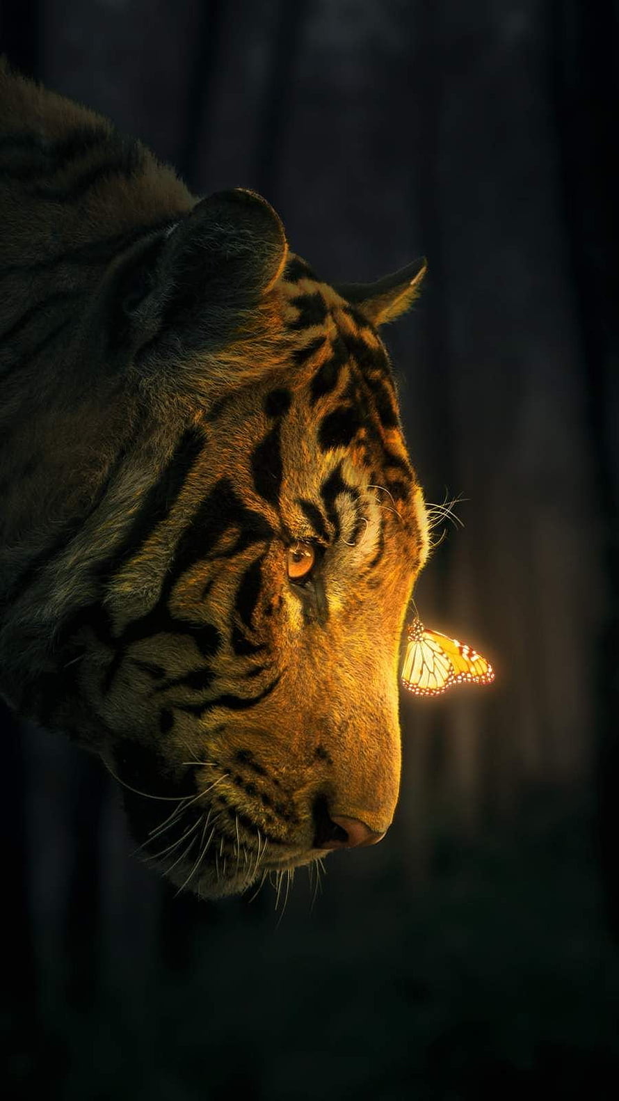 Cinematic Tiger Profile with Glowing Butterfly in Dark Forest HD phone wallpaper