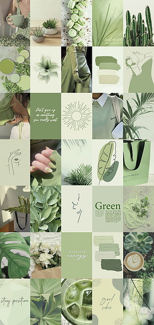 Sage Green Aesthetic Collage Grid Featuring Plants, Fashion, and Minimalist Design Elements HD phone wallpaper