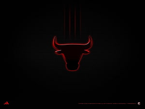 Chicago Bulls Neon Red Bull Head Logo on Black Background HD wallpaper
