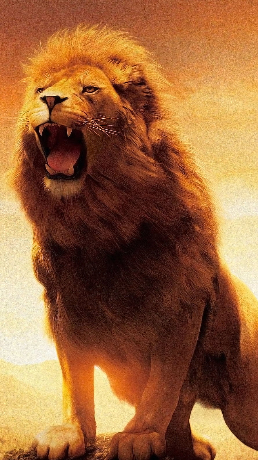 Majestic Male Lion Roaring with Full Mane in Golden Savanna Light HD phone wallpaper