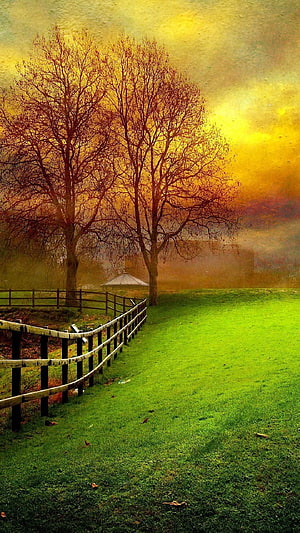 Golden Autumn Landscape with Bare Trees and Pastoral Fence HD phone wallpaper