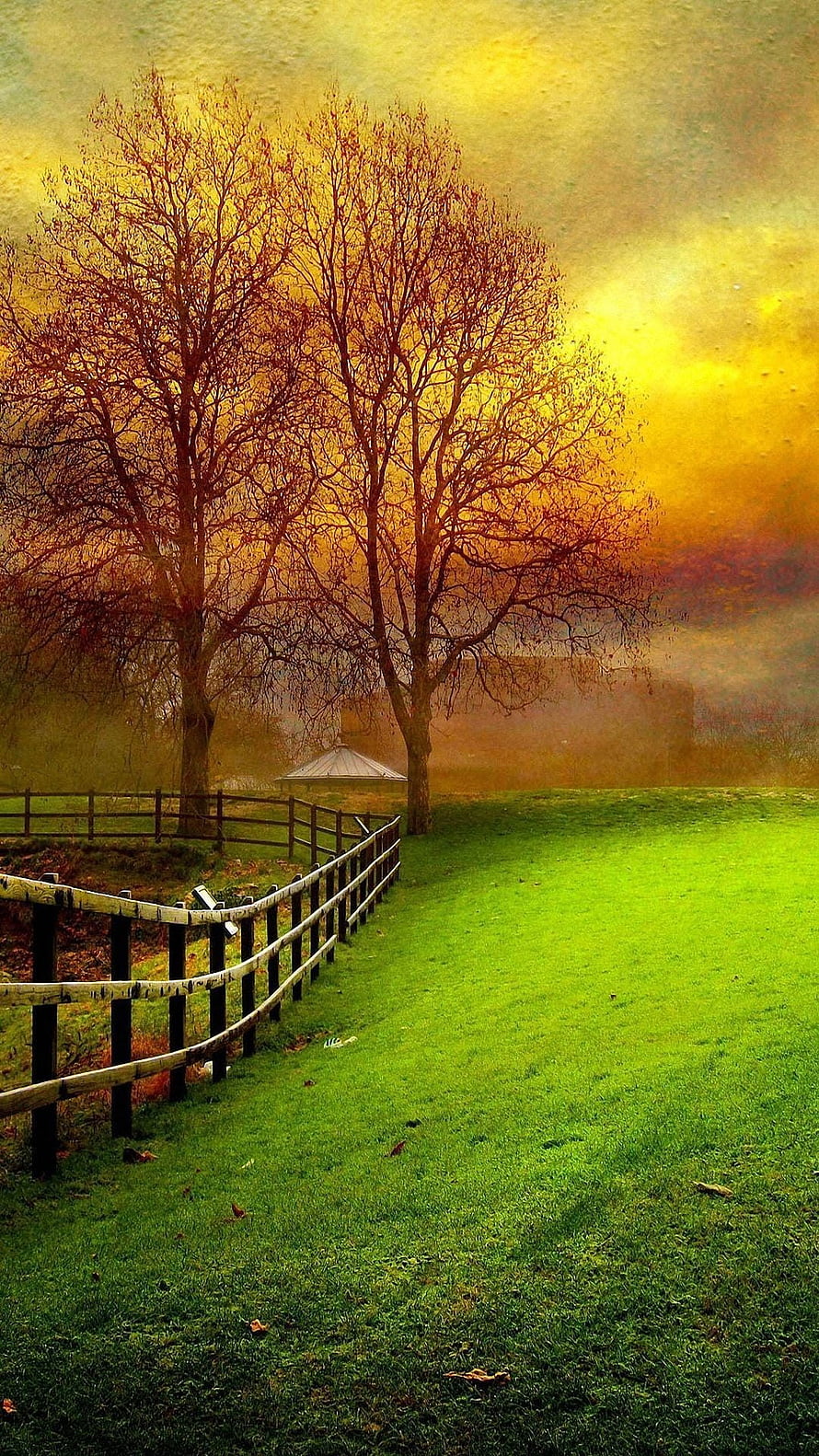 Golden Autumn Landscape with Bare Trees and Pastoral Fence HD phone wallpaper