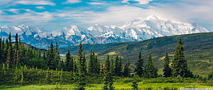 Snow-Capped Mountain Range Rising Above Lush Green Forest and Meadow Under a Bright Blue Sky HD wallpaper