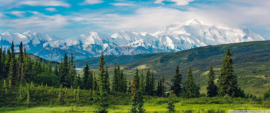 Snow-Capped Mountain Range Rising Above Lush Green Forest and Meadow Under a Bright Blue Sky HD wallpaper