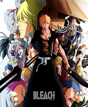 Bleach Anime Character Group Art Featuring Ichigo Kurosaki and Captain Squad Members HD phone wallpaper