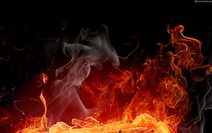 Vibrant orange flames and swirling smoke rising against a deep black background HD wallpaper