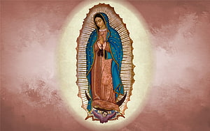Our Lady of Guadalupe in Blue Mantle with Golden Halo on Textured Pink Background HD wallpaper
