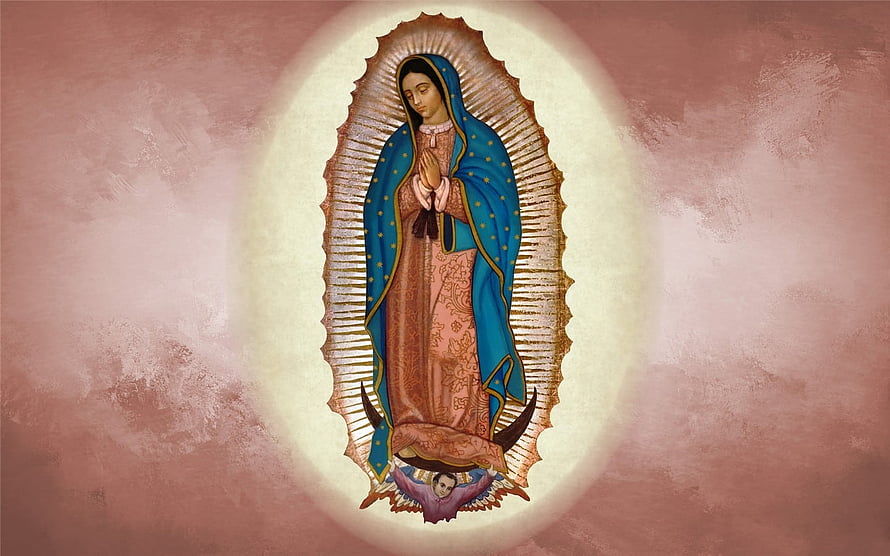 Our Lady of Guadalupe in Blue Mantle with Golden Halo on Textured Pink Background HD wallpaper