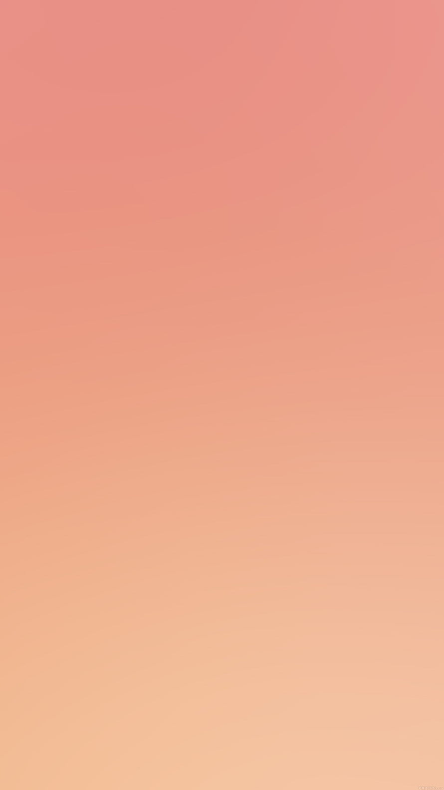 Soft Peach Ombre Gradient Background with Warm Blush to Apricot Transition HD phone wallpaper