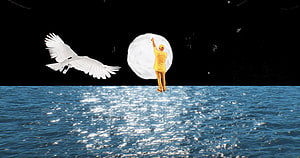 Mac Miller Circles Album Artwork: Man in Yellow Reaching for Moon Over Ocean with White Bird HD wallpaper