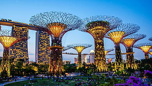 Gardens by the Bay Supertree Grove at Dusk with Marina Bay Sands in Singapore HD wallpaper