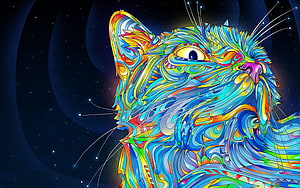 Vibrant Multicolored Cat Portrait in Psychedelic Abstract Art Style Against Starry Night Sky HD wallpaper