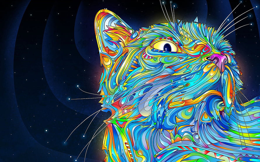 Vibrant Multicolored Cat Portrait in Psychedelic Abstract Art Style Against Starry Night Sky HD wallpaper