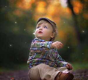 Toddler in plaid shirt and cap gazing upward in an autumn forest setting HD wallpaper