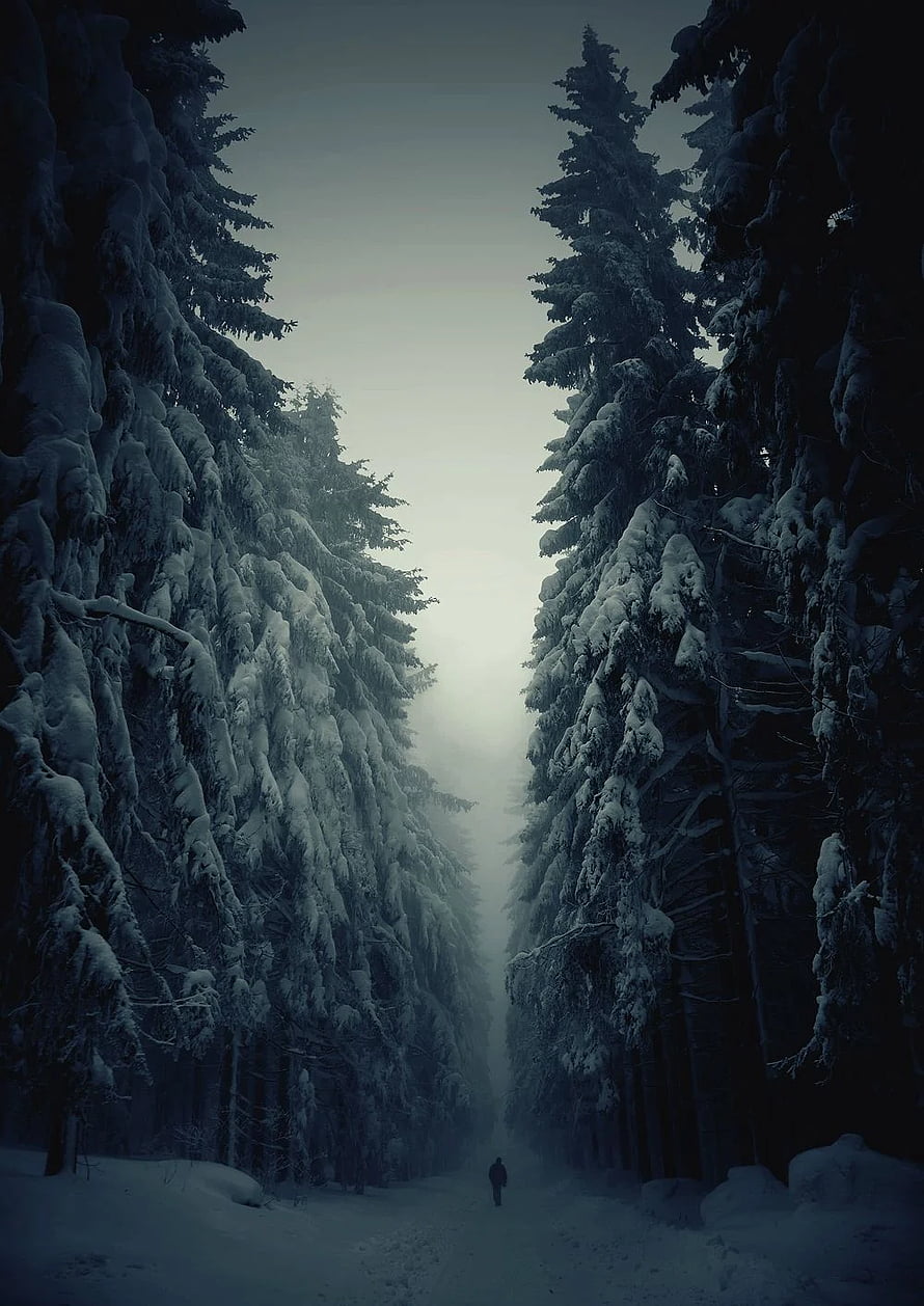 Solitary figure walking through a misty, snow-covered evergreen forest corridor HD phone wallpaper