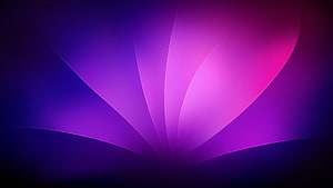 Mac OS X Snow Leopard Default Desktop Background with Purple and Pink Abstract Waves HD wallpaper