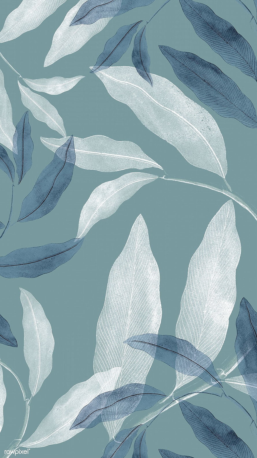 Elegant Blue and White Botanical Leaf Pattern on Teal Background HD phone wallpaper
