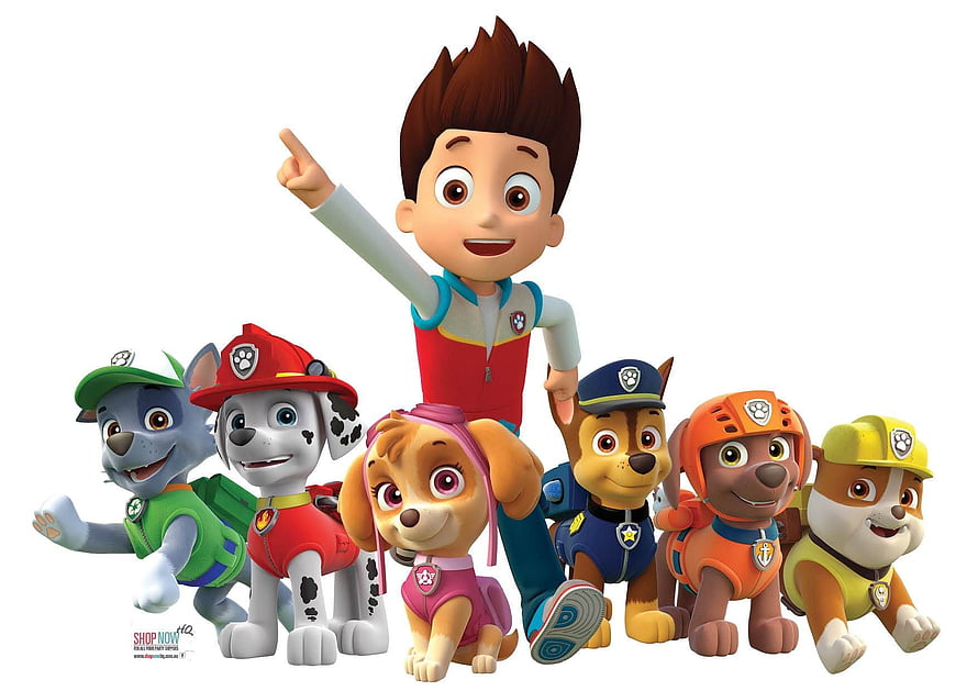 Paw Patrol Team Group Portrait with Ryder and Six Puppies in Uniforms HD wallpaper