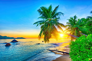 Seychelles tropical beach at sunrise with palm trees, golden ocean, and lush greenery HD wallpaper