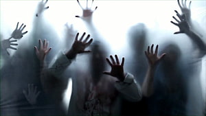 Horror Scene of Reaching Zombie Hands Pressed Against Foggy Glass HD wallpaper