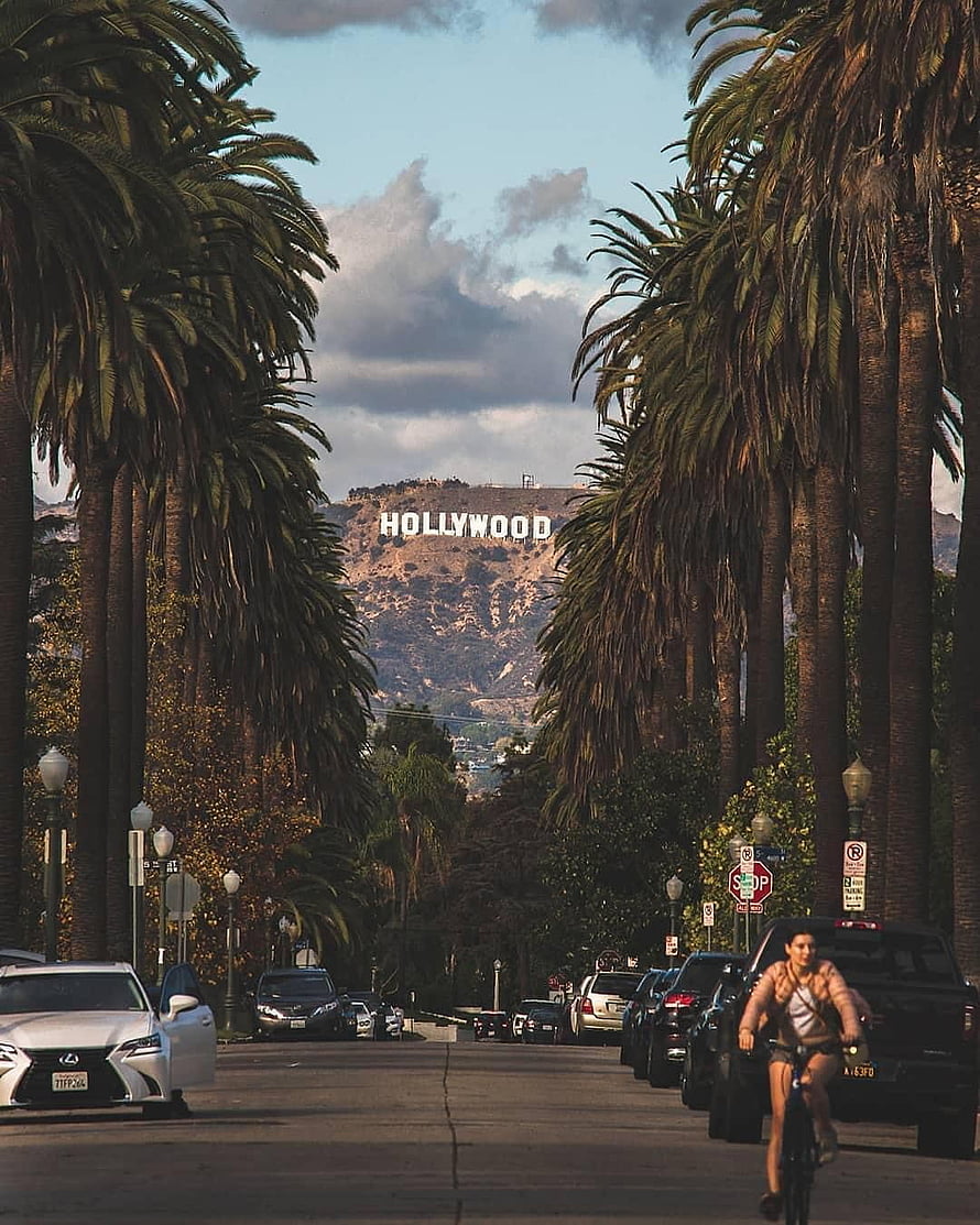 Hollywood Sign View Through Palm Trees on a Los Angeles Street HD phone wallpaper
