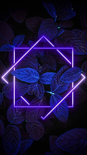 Purple Neon Geometric Shapes Over Dark Blue Leaves in Low Light HD phone wallpaper