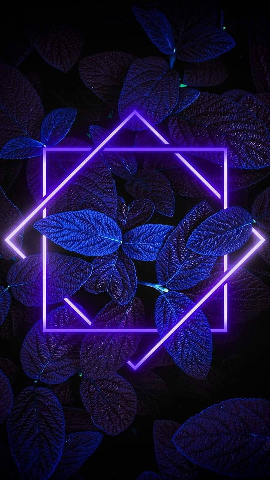 Purple Neon Geometric Shapes Over Dark Blue Leaves in Low Light HD phone wallpaper