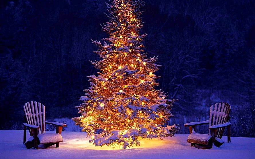 Snow-covered Christmas tree with warm lights and two Adirondack chairs in a winter night scene HD wallpaper