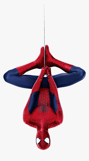 Spider-Man Hanging Upside Down From Web Against White Background, Spiderman Hanging Upside Down, Png - Spiderman Png, Transparent Png, Transparent Png , Spiderman Upside Down HD phone wallpaper