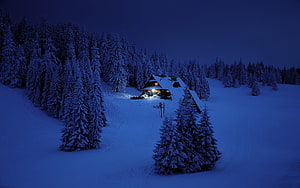 Cozy Snow-Covered Cabin at Night Surrounded by Frosted Evergreen Forest HD wallpaper