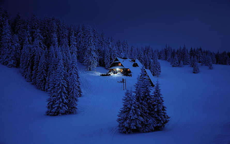 Cozy Snow-Covered Cabin at Night Surrounded by Frosted Evergreen Forest HD wallpaper