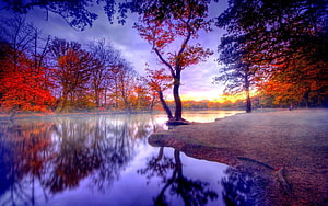 Serene Autumn Lake with Vibrant Foliage and Misty Morning Reflections HD wallpaper