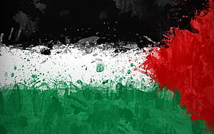 Abstract Grunge Palestine Flag with Paint Splatter and Distressed Texture HD wallpaper