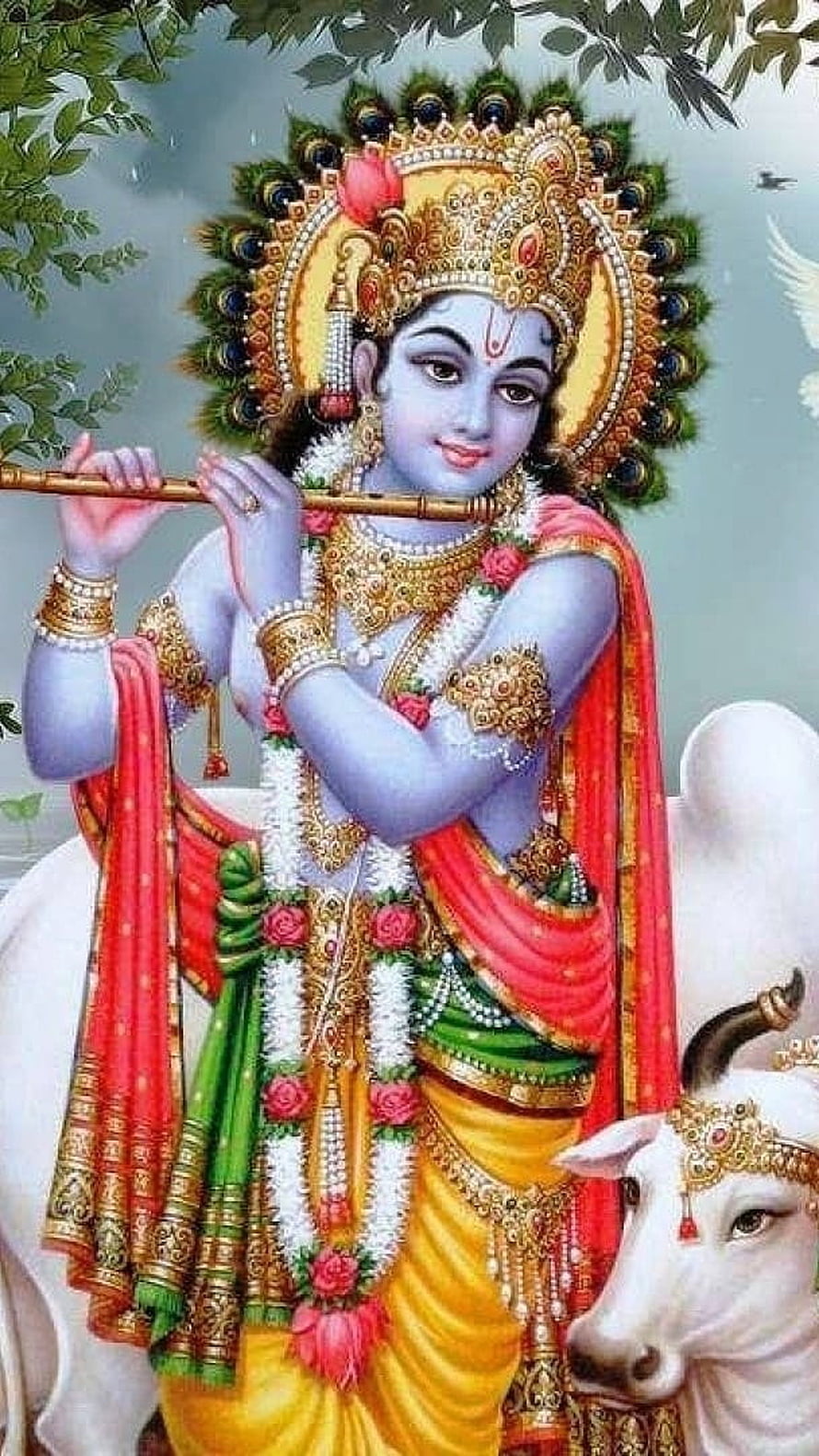 Lord Krishna Playing Flute with Peacock Crown and White Cow HD phone wallpaper