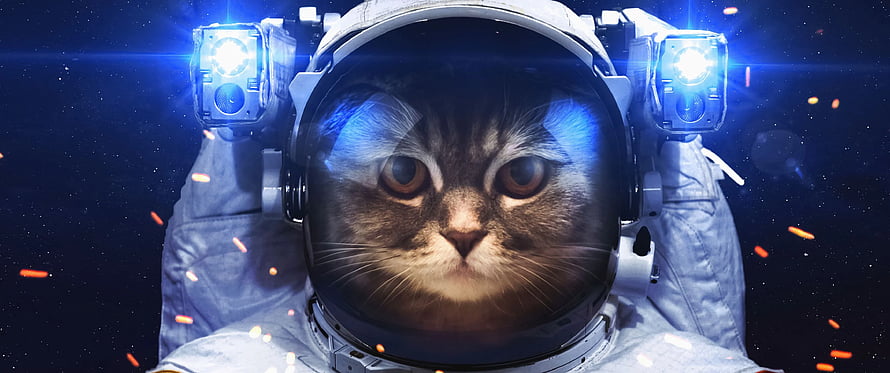 Cute Tabby Cat in Astronaut Helmet with Glowing Blue Lights in Deep Space HD wallpaper