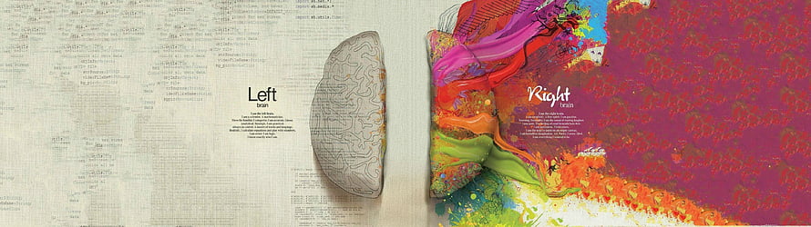 Left and Right Brain Hemispheres Conceptual Art with Textured Background HD wallpaper