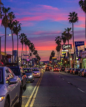 West Hollywood Sunset Boulevard at Dusk with Palm Trees and Vibrant Sky HD phone wallpaper