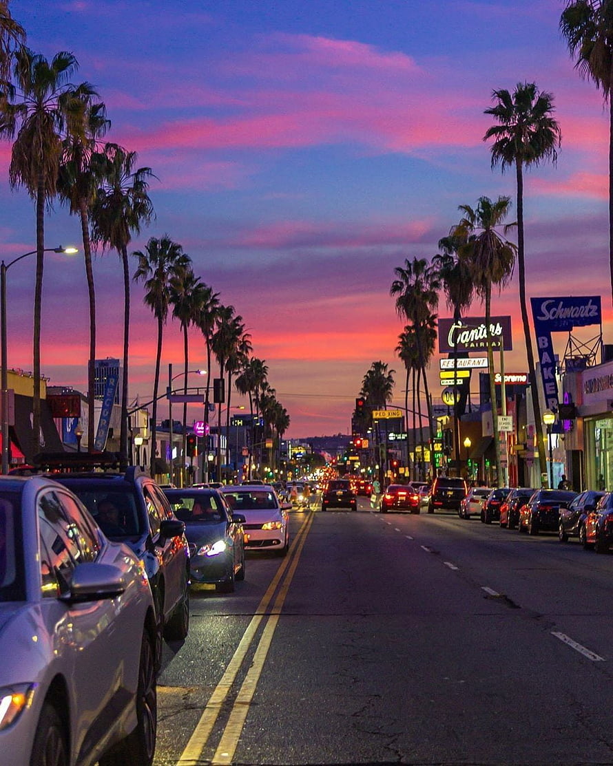 West Hollywood Sunset Boulevard at Dusk with Palm Trees and Vibrant Sky HD phone wallpaper