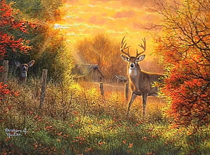 Autumn Deer in Golden Rural Landscape with Barn and Fall Foliage HD wallpaper