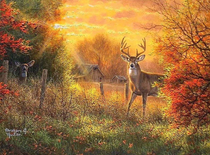 Autumn Deer in Golden Rural Landscape with Barn and Fall Foliage HD wallpaper