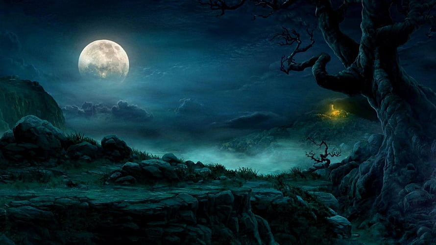 Eerie Moonlit Forest Landscape With Twisted Trees And Misty Valley HD wallpaper