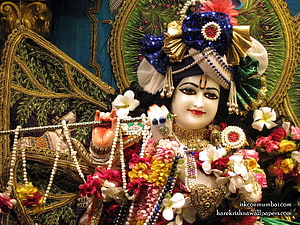 Ornate Krishna Deity Adorned With Fresh Flowers And Jewels HD wallpaper