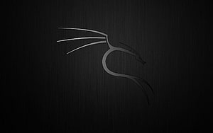 Kali Linux Minimalist Dragon Head Logo on Dark Textured Background HD wallpaper