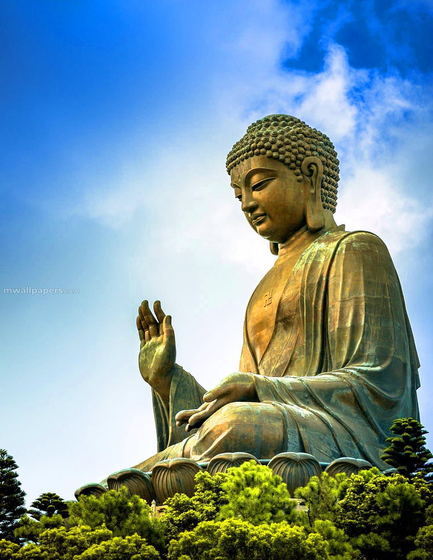 Giant Seated Buddha Statue Against a Bright Blue Sky with Lush Green Foliage HD phone wallpaper