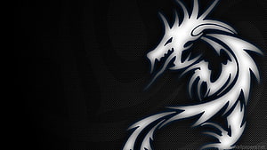 Silver Tribal Dragon Head on Black Carbon Fiber Background HD wallpaper