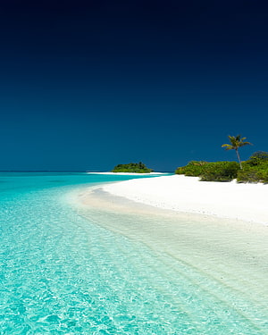 Pristine Tropical Island with Turquoise Lagoon and White Sand Beach HD phone wallpaper