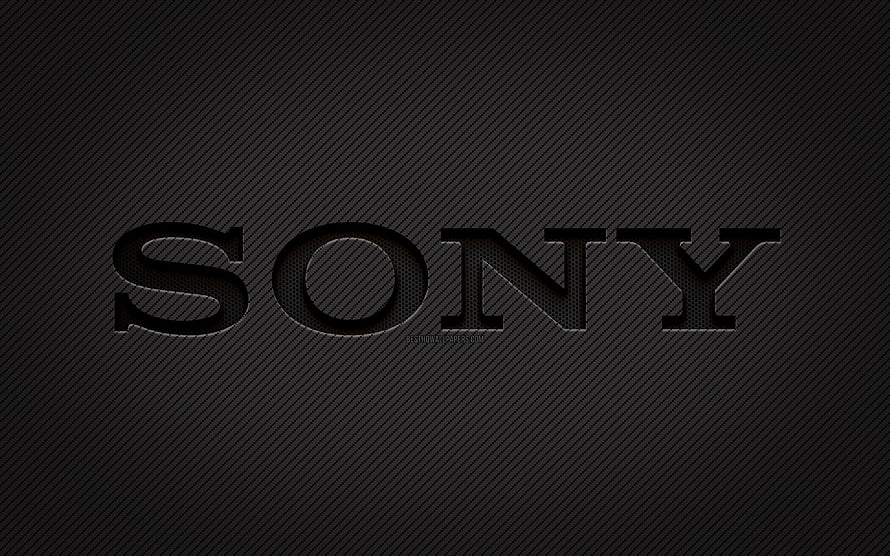 Sony Carbon Fiber Logo on Dark Grunge Textured Background HD wallpaper