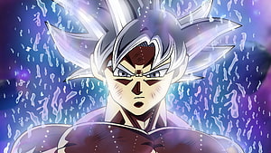 Goku Ultra Instinct Anime Character with Silver Hair and Intense Aura HD wallpaper